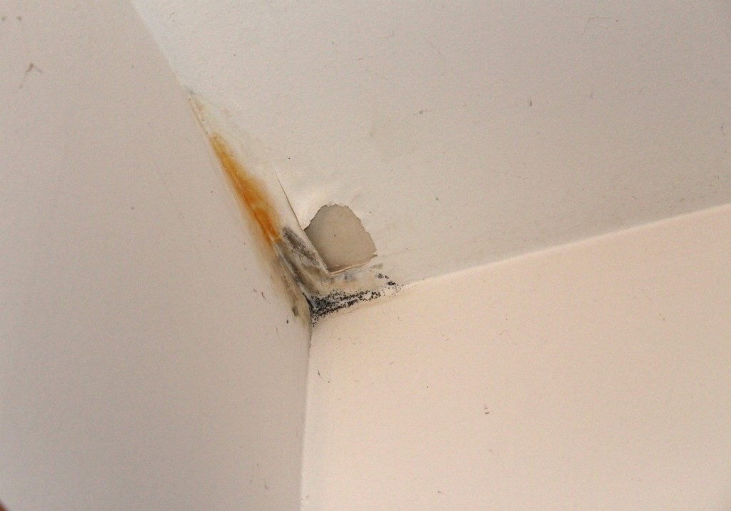 Traiter un mur ou un plafond contre le salpêtre / moisissure